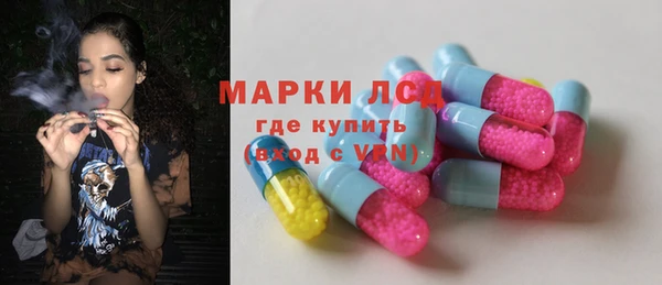 прущие грибы Арсеньев