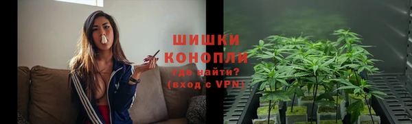 прущие грибы Арсеньев