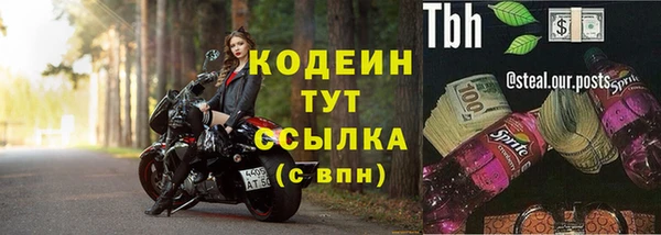 прущие грибы Арсеньев