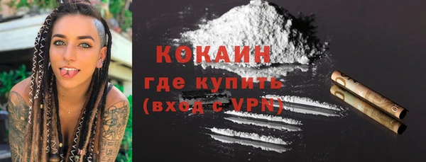 прущие грибы Арсеньев