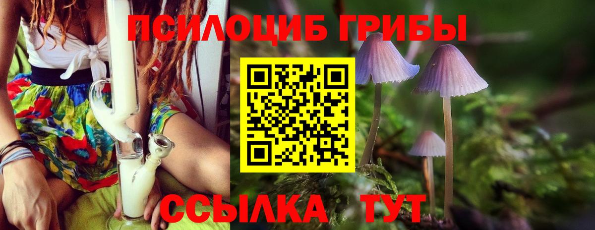 Сосновый Бор  Галлюциногенные грибы ЛСД  Вход с VPN 