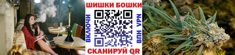 Конопля план  нарко площадка состав  Сосновый Бор 