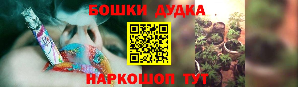 Бошки Шишки ГИДРОПОН Сосновый Бор